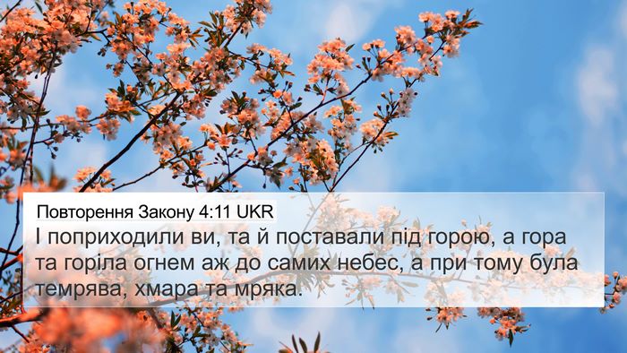 Повторення Закону 4:11 UKR Bible Verse Image