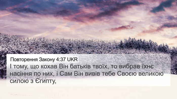 Повторення Закону 4:37 UKR Bible Verse Image