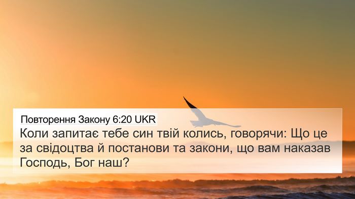 Повторення Закону 6:20 UKR Bible Verse Image