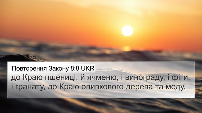 Повторення Закону 8:8 UKR 4K Wallpaper - до Краю пшениці, й ячменю, і - 4K Wallpaper Bible Verse