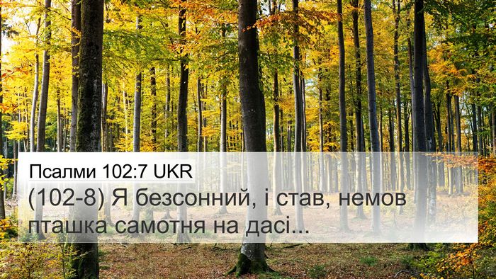 Псалми 102:7 UKR Bible Verse Image
