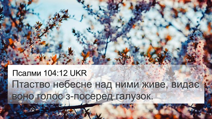 Псалми 104:12 UKR Bible Verse Image