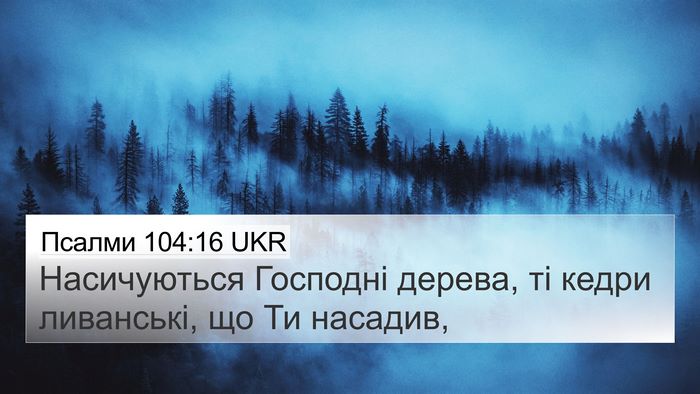 Псалми 104:16 UKR Bible Verse Image