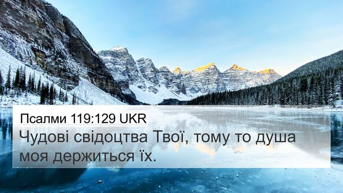 Псалми 119:129 UKR 4K Wallpaper - Чудові свідоцтва Твої, - 4K Wallpaper Bible Verse
