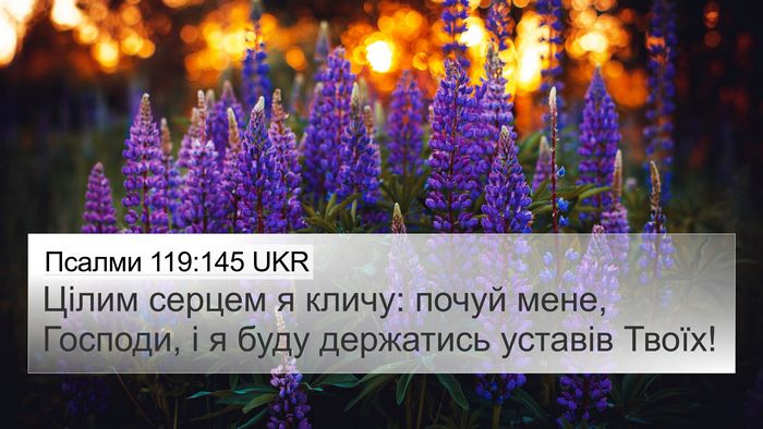 Псалми 119:145 UKR Bible Verse Image
