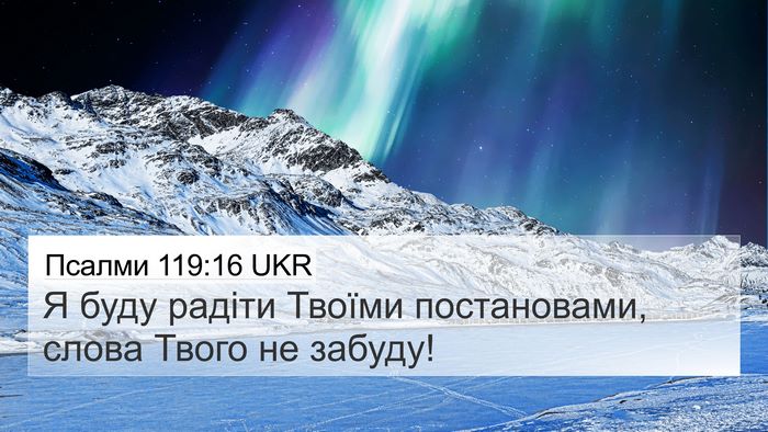 Псалми 119:16 UKR Bible Verse Image