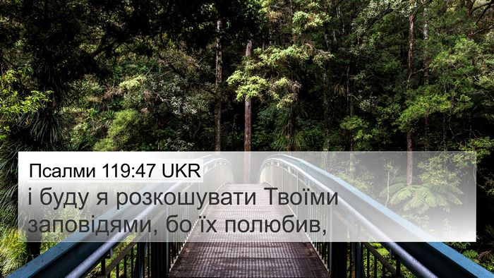 Псалми 119:47 UKR Bible Verse Image