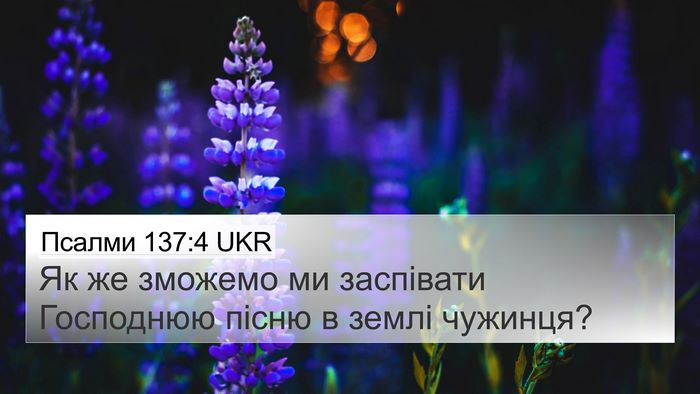 Псалми 137:4 UKR Bible Verse Image