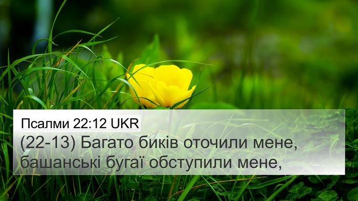 Псалми 22:12 UKR Bible Verse Image