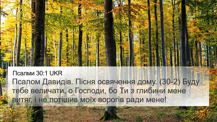 Псалми 30:1 UKR Bible Verse Image