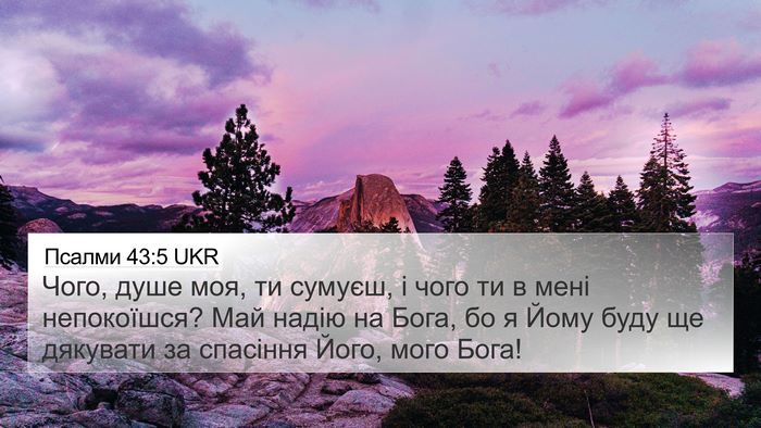 Псалми 43:5 UKR Bible Verse Image