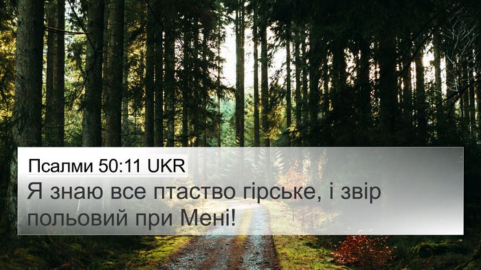 Псалми 50:11 UKR 4K Wallpaper - Я знаю все птаство гірське, - 4K Wallpaper Bible Verse