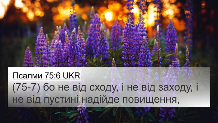 Псалми 75:6 UKR Bible Verse Image