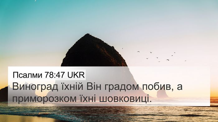 Псалми 78:47 UKR Bible Verse Image