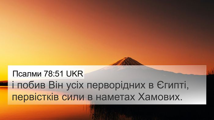 Псалми 78:51 UKR Bible Verse Image