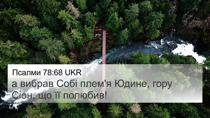 Псалми 78:68 UKR Bible Verse Image