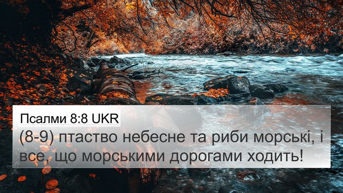 Псалми 8:8 UKR Bible Verse Image