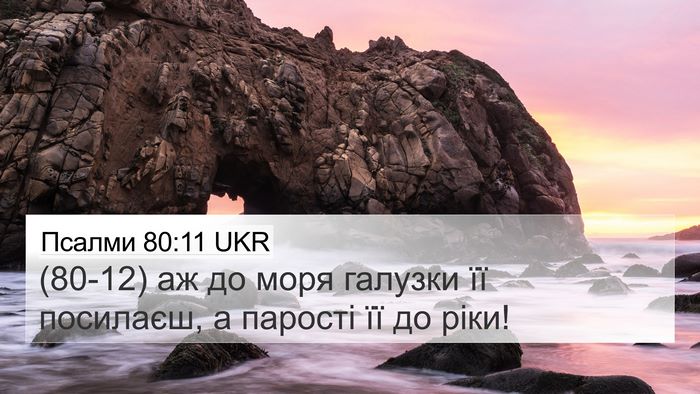Псалми 80:11 UKR Bible Verse Image