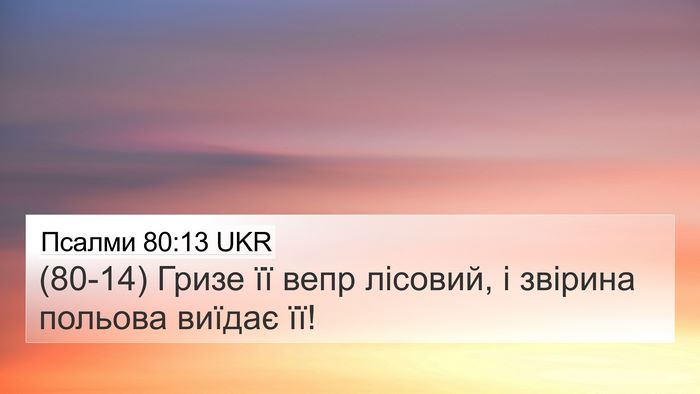 Псалми 80:13 UKR Bible Verse Image