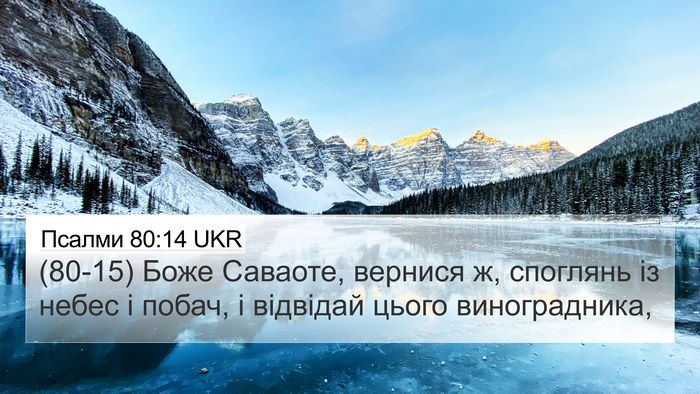 Псалми 80:14 UKR Bible Verse Image