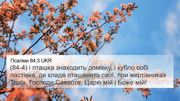 Псалми 84:3 UKR Bible Verse Image