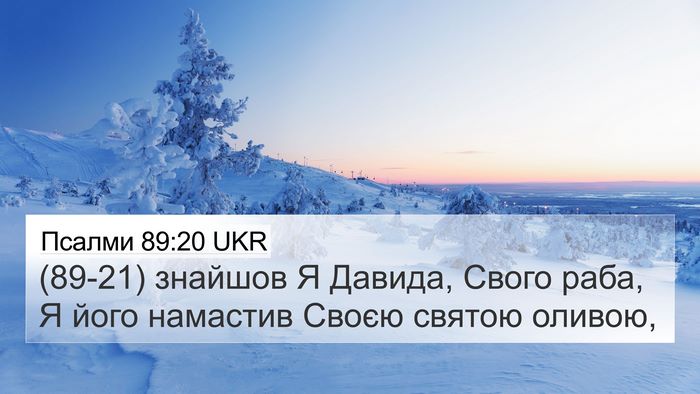 Псалми 89:20 UKR Bible Verse Image