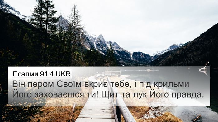 Псалми 91:4 UKR Bible Verse Image