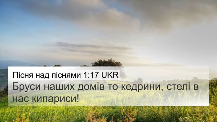 Пісня над піснями 1:17 UKR Bible Verse Image