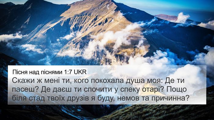 Пісня над піснями 1:7 UKR Bible Verse Image