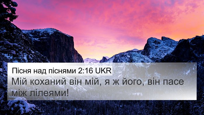 Пісня над піснями 2:16 UKR Bible Verse Image