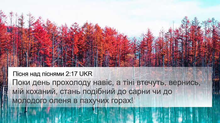 Пісня над піснями 2:17 UKR Bible Verse Image