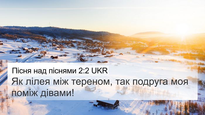 Пісня над піснями 2:2 UKR Bible Verse Image