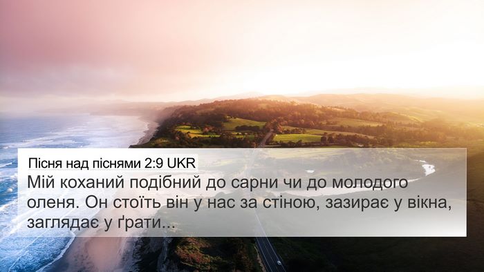 Пісня над піснями 2:9 UKR Bible Verse Image