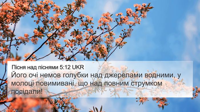 Пісня над піснями 5:12 UKR Bible Verse Image