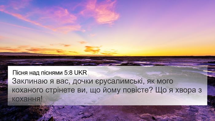 Пісня над піснями 5:8 UKR Bible Verse Image