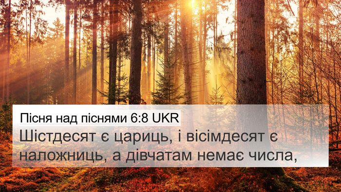 Пісня над піснями 6:8 UKR Bible Verse Image