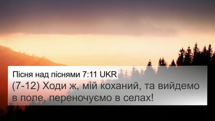 Пісня над піснями 7:11 UKR Bible Verse Image