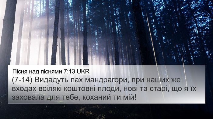 Пісня над піснями 7:13 UKR Bible Verse Image