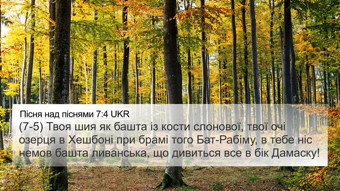 Пісня над піснями 7:4 UKR Bible Verse Image