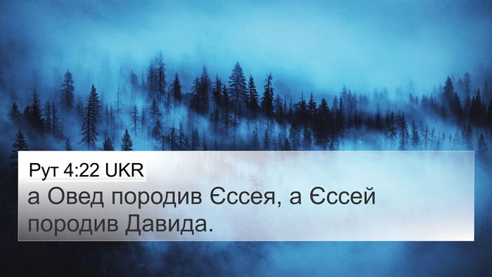 Рут 4:22 UKR Bible Verse Image