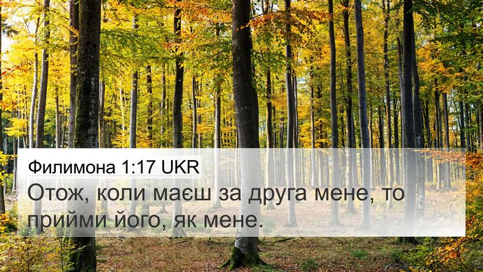 Филимона 1:17 UKR 4K Wallpaper - Отож, коли маєш за друга - 4K Wallpaper Bible Verse