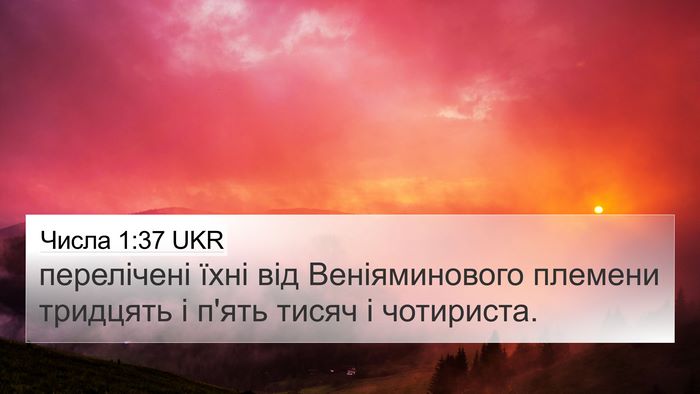 Числа 1:37 UKR 4K Wallpaper - перелічені їхні від - 4K Wallpaper Bible Verse