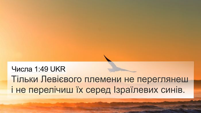 Числа 1:49 UKR Bible Verse Image
