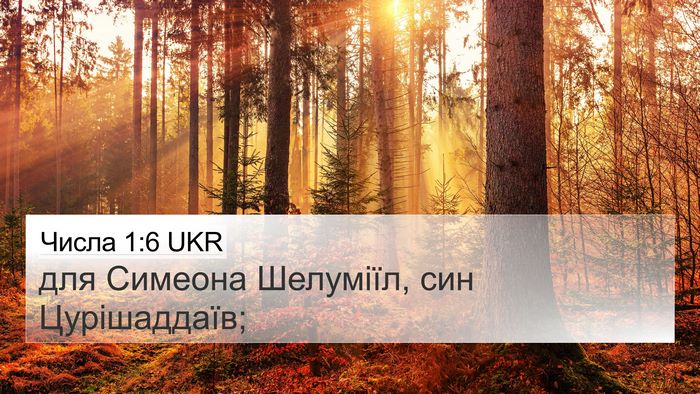 Числа 1:6 UKR Bible Verse Image