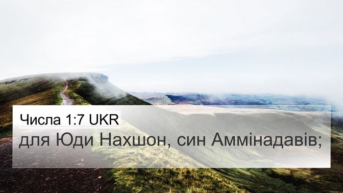 Числа 1:7 UKR Bible Verse Image