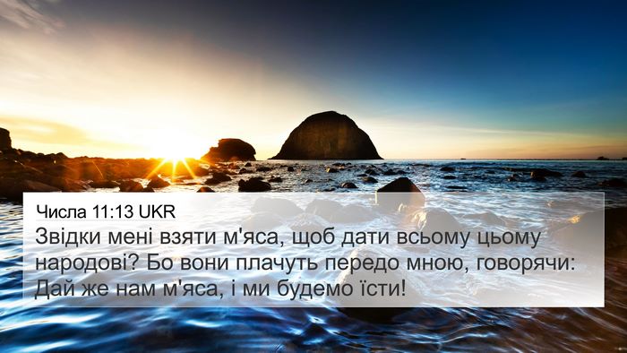 Числа 11:13 UKR Bible Verse Image