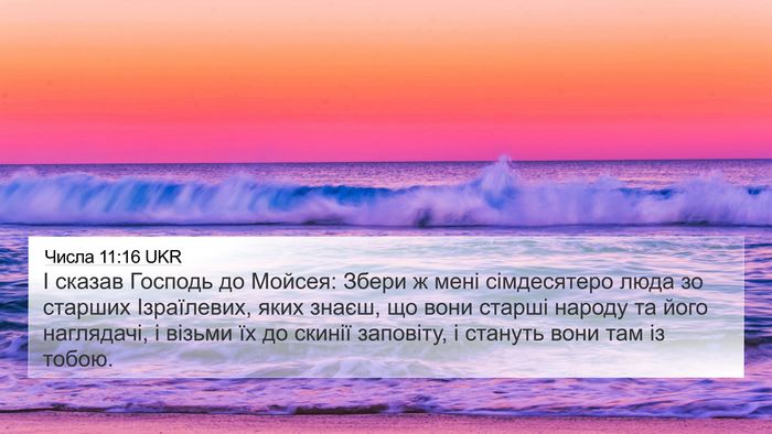 Числа 11:16 UKR Bible Verse Image