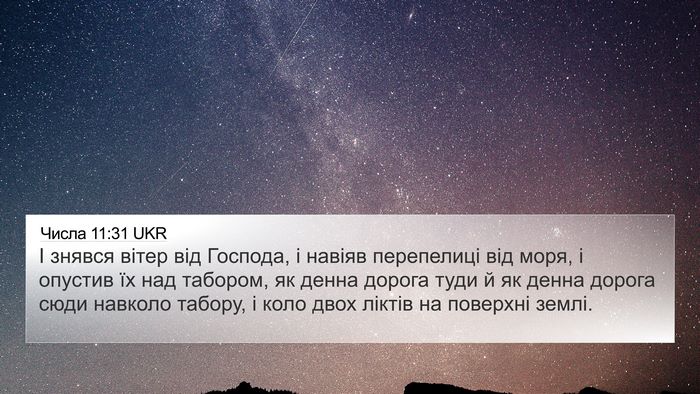 Числа 11:31 UKR 4K Wallpaper - І знявся вітер від Господа, - 4K Wallpaper Bible Verse