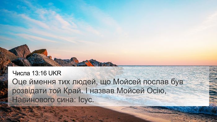 Числа 13:16 UKR Bible Verse Image