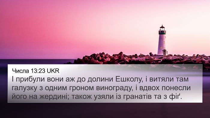 Числа 13:23 UKR Bible Verse Image